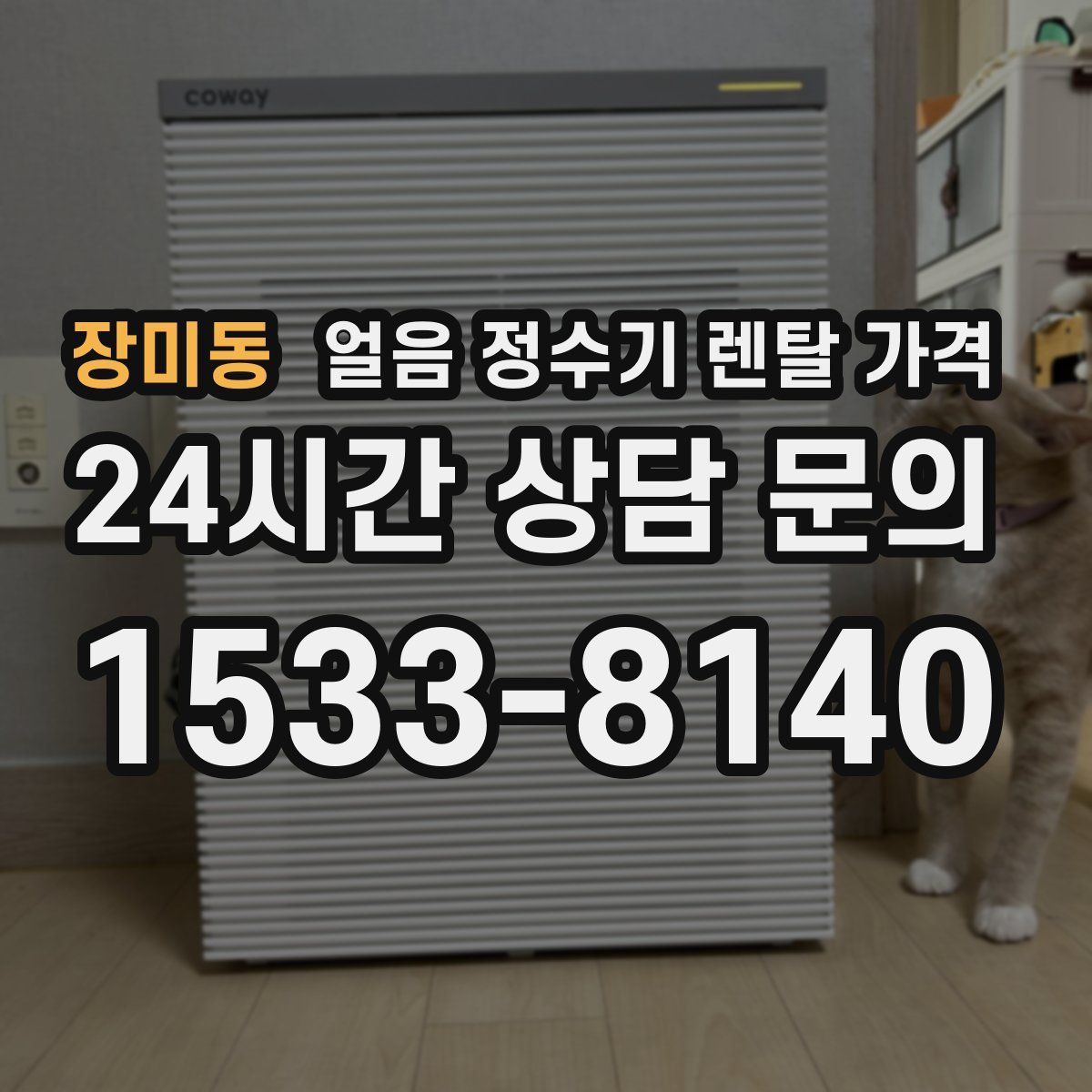 장미동 얼음 정수기 렌탈 가격