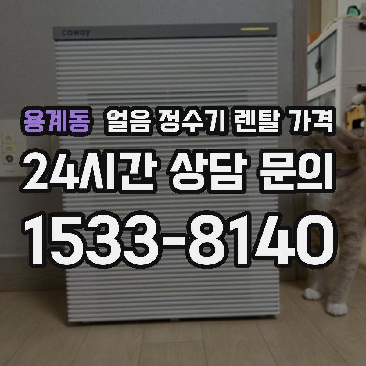 용계동 얼음 정수기 렌탈 가격 고민을 줄이는 정리 방법