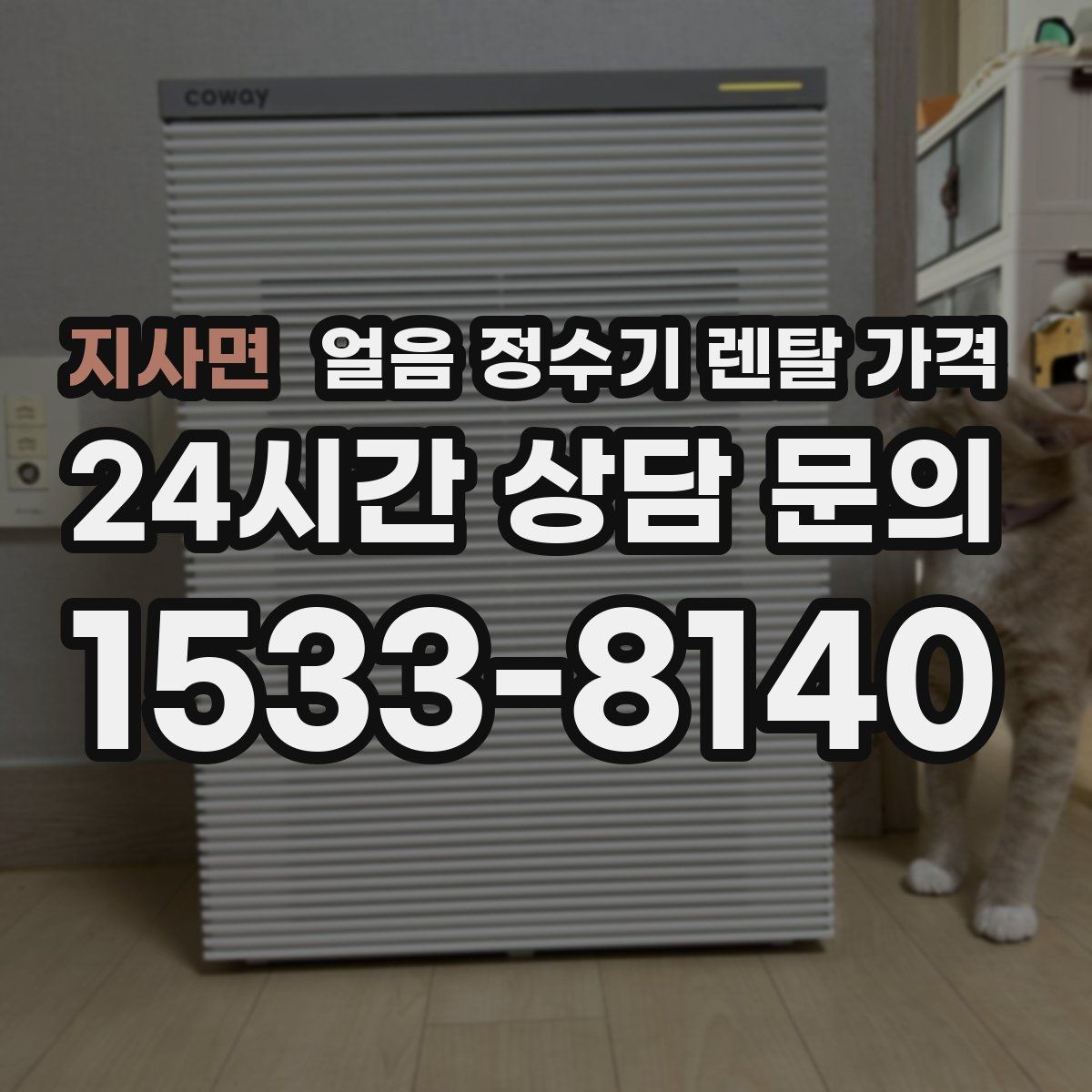 지사면 얼음 정수기 렌탈 가격 관리 비용까지 따져봐야 하는 이유