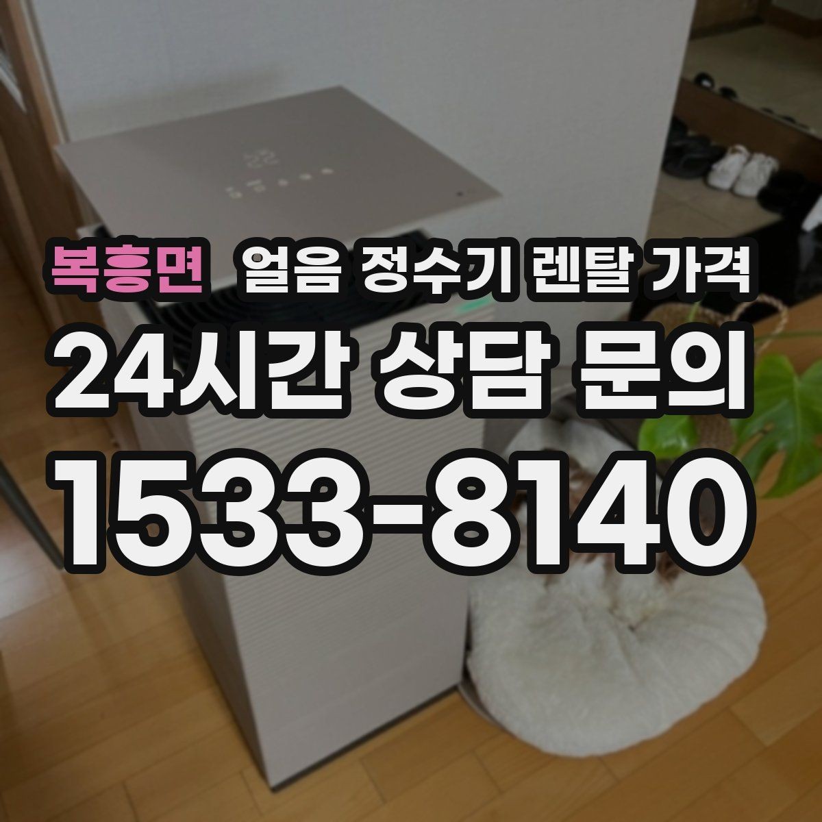 복흥면 얼음 정수기 렌탈 가격 필터 비용 포함 여부 확인 방법