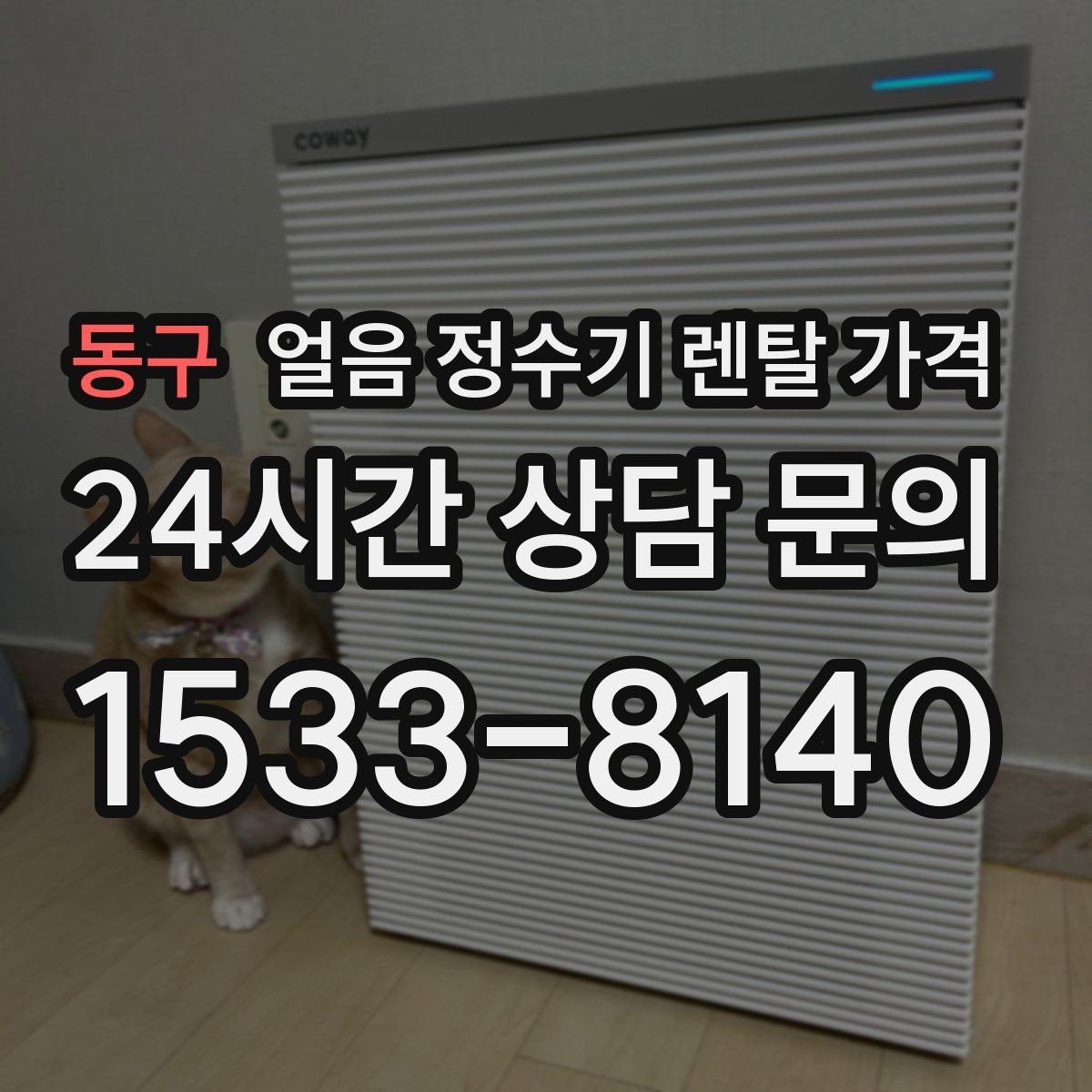 동구 얼음 정수기 렌탈 가격 싱크대형과 스탠드형 차이