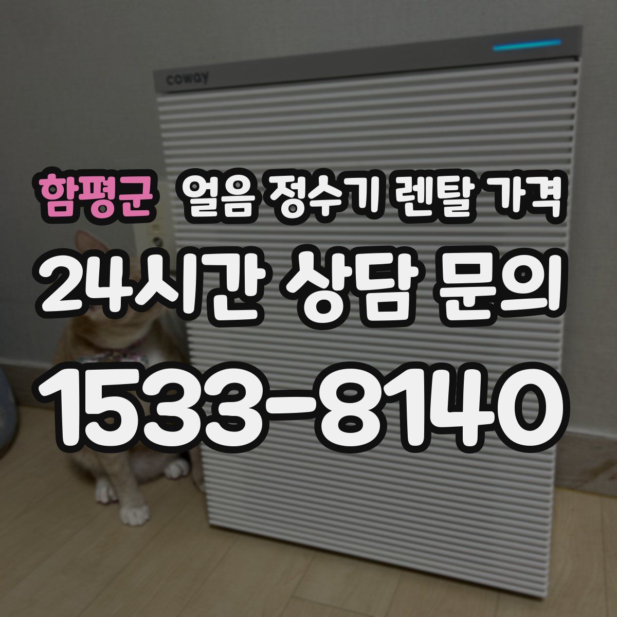 함평군 얼음 정수기 렌탈 가격