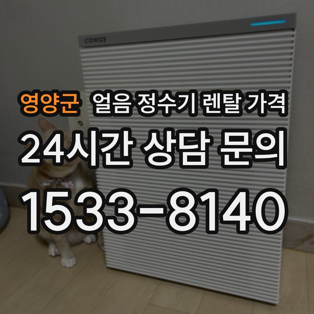 영양군 얼음 정수기 렌탈 가격 관리 서비스 범위 비교 포인트