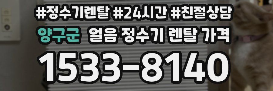 양구군 얼음 정수기 렌탈 가격