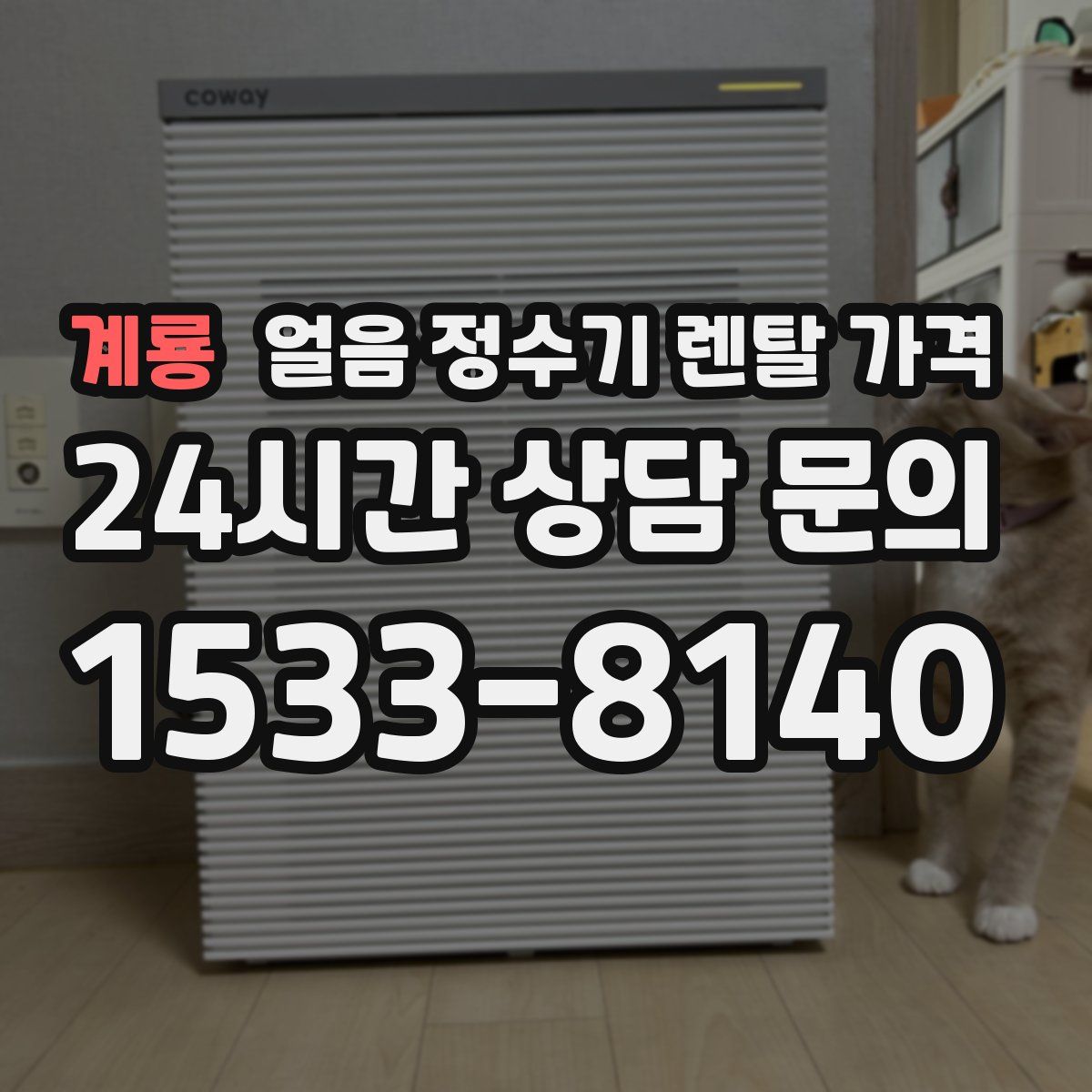 계룡 얼음 정수기 렌탈 가격