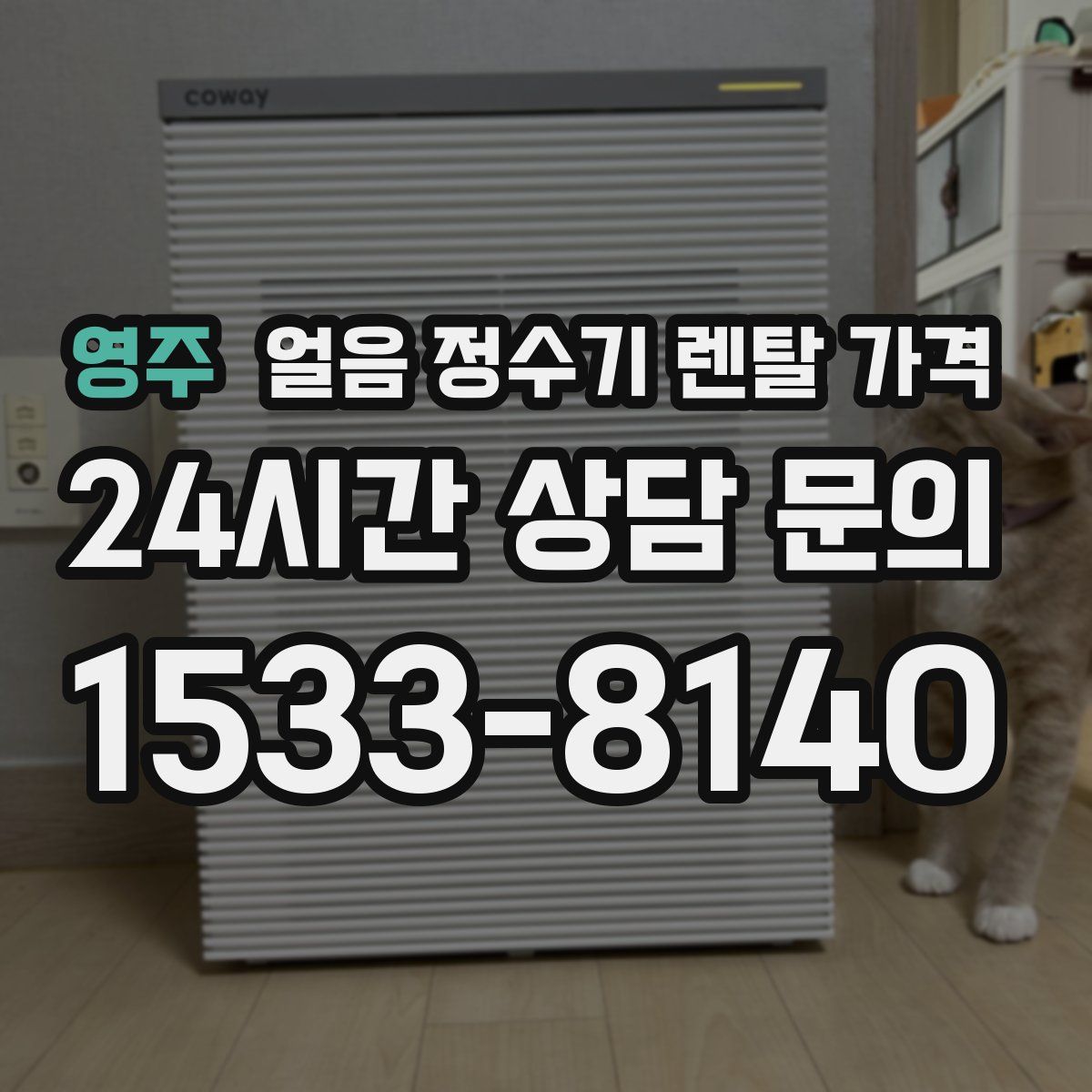 영주 얼음 정수기 렌탈 가격