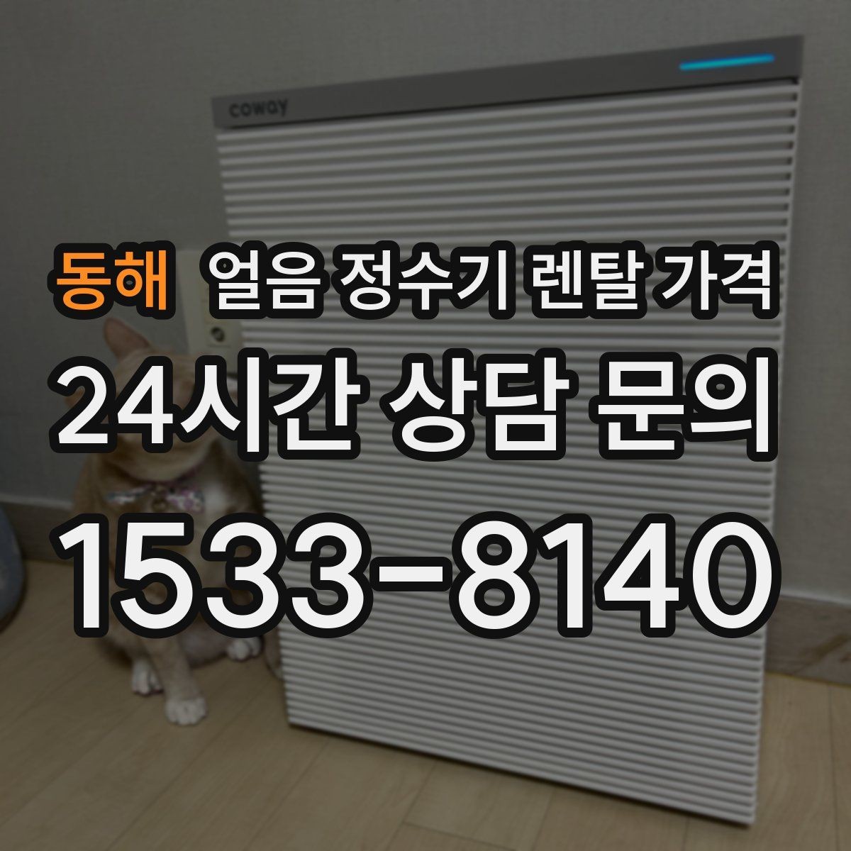 동해 얼음 정수기 렌탈 가격 사은품 없는 계약이 더 좋은 이유