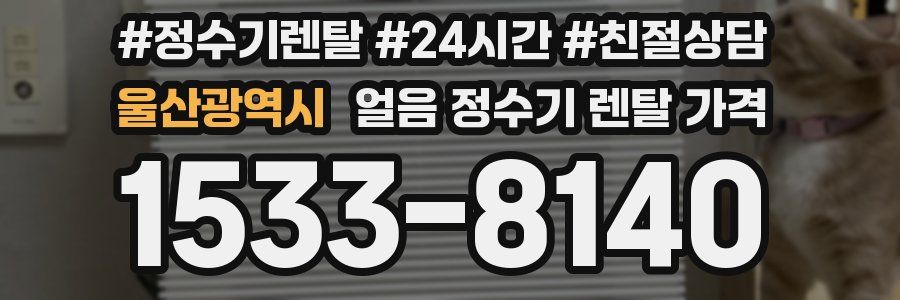 울산광역시 얼음 정수기 렌탈 가격