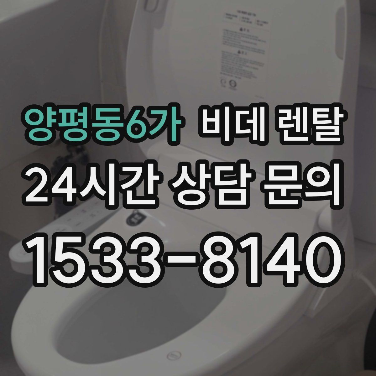 양평동6가 비데 렌탈 정수 기능을 따져봐야 하는 경우