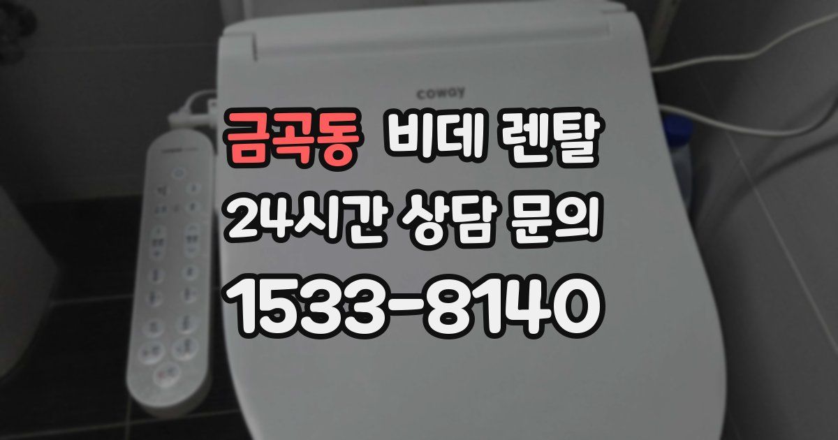 금곡동 비데 렌탈