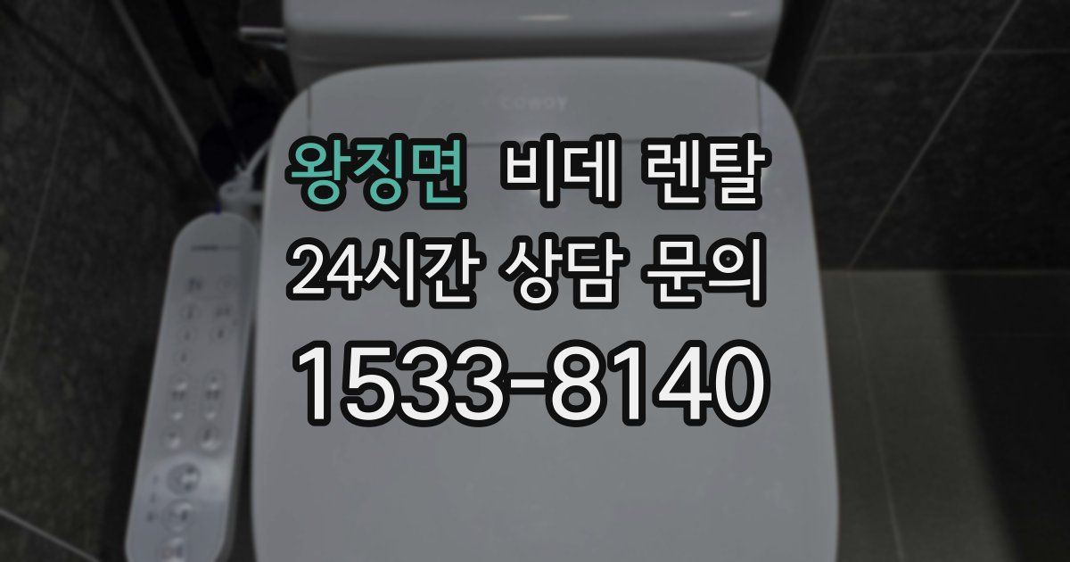 왕징면 비데 렌탈