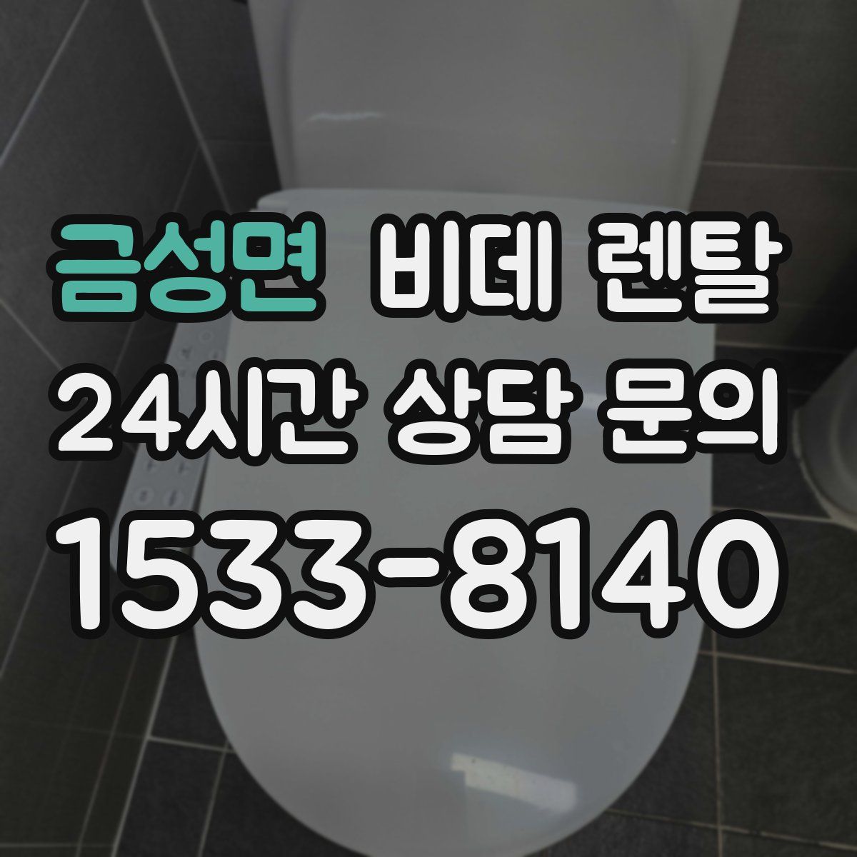 금성면 비데 렌탈