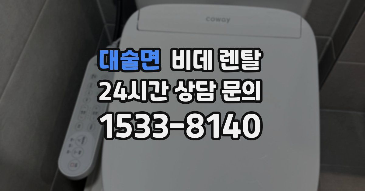 대술면 비데 렌탈