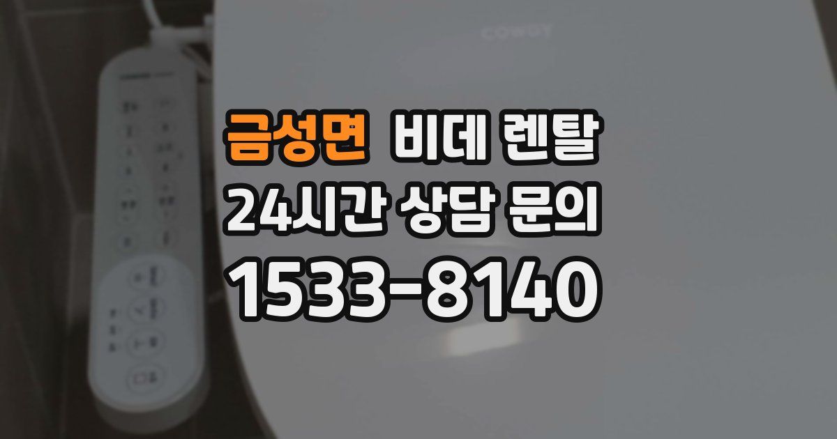 금성면 비데 렌탈