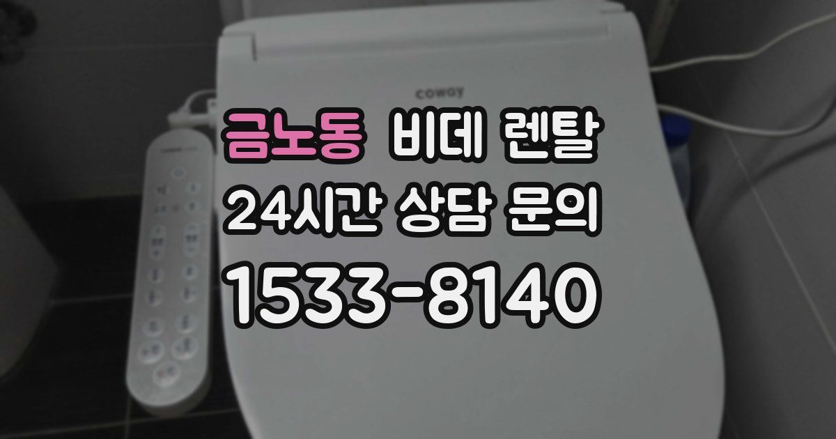 금노동 비데 렌탈