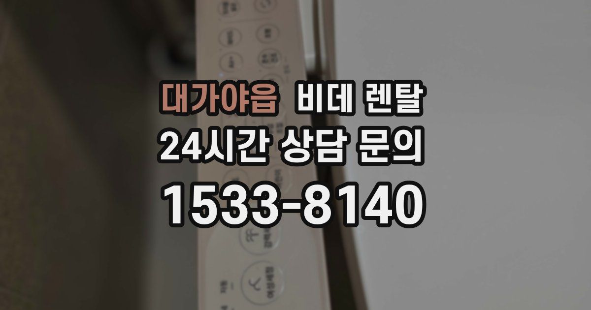 대가야읍 비데 렌탈