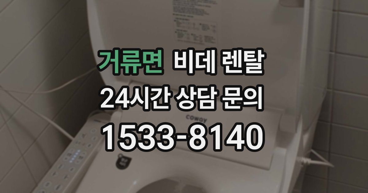 거류면 비데 렌탈