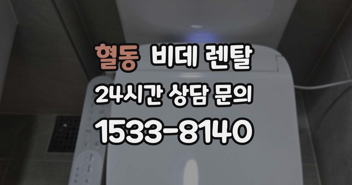 혈동 비데 렌탈