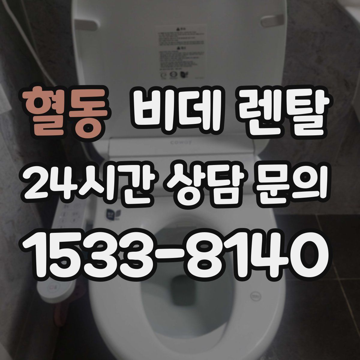 혈동 비데 렌탈