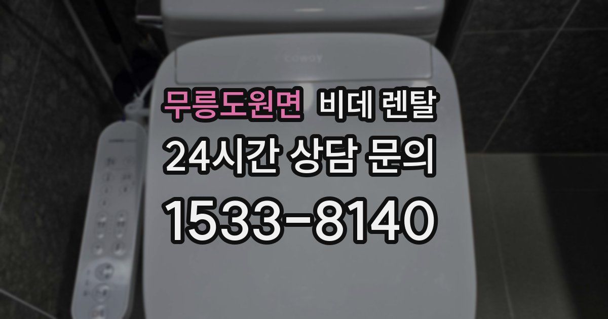 무릉도원면 비데 렌탈