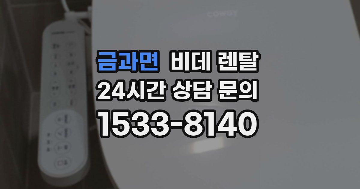 금과면 비데 렌탈
