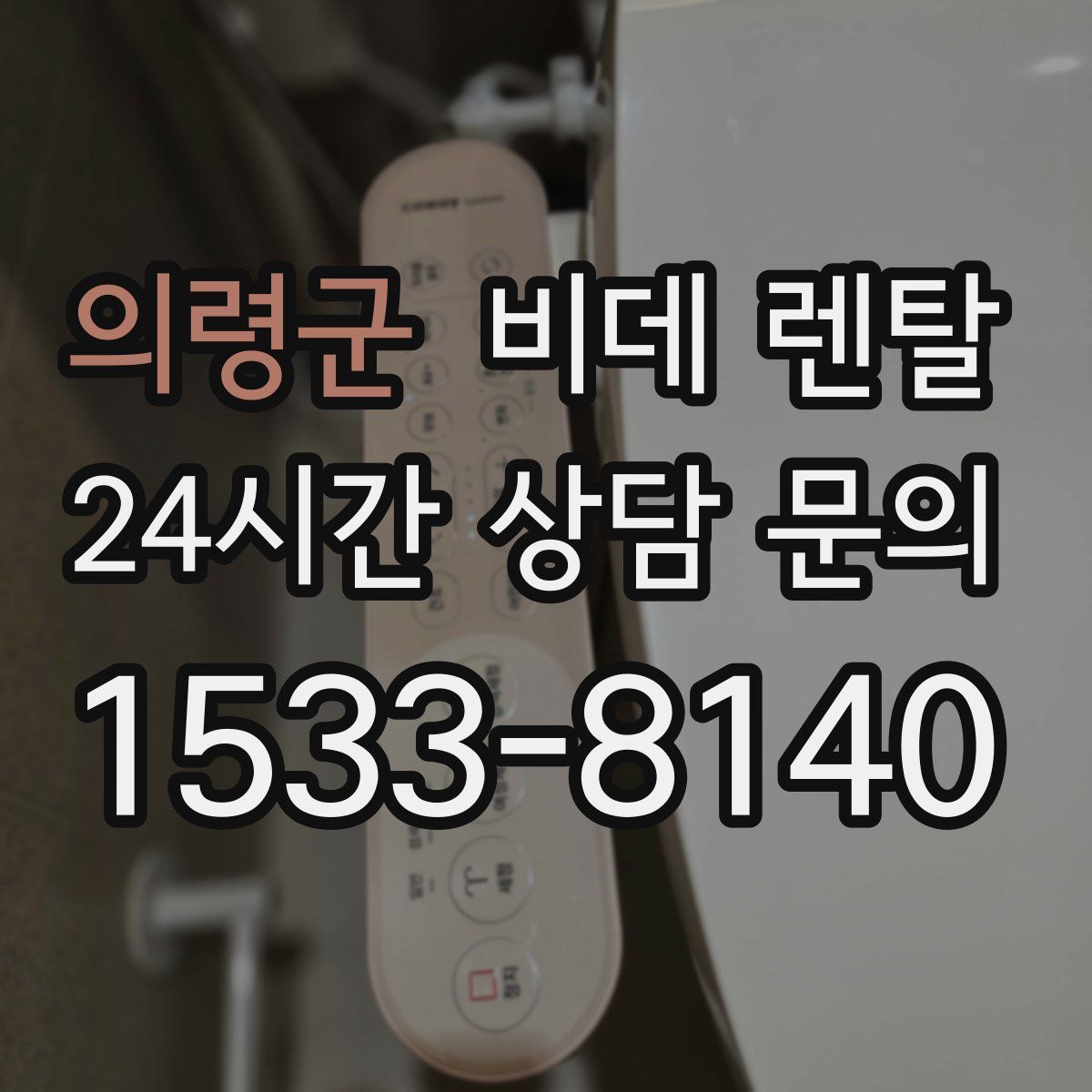 의령군 비데 렌탈