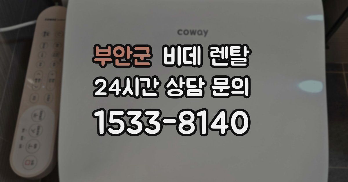 부안군 비데 렌탈