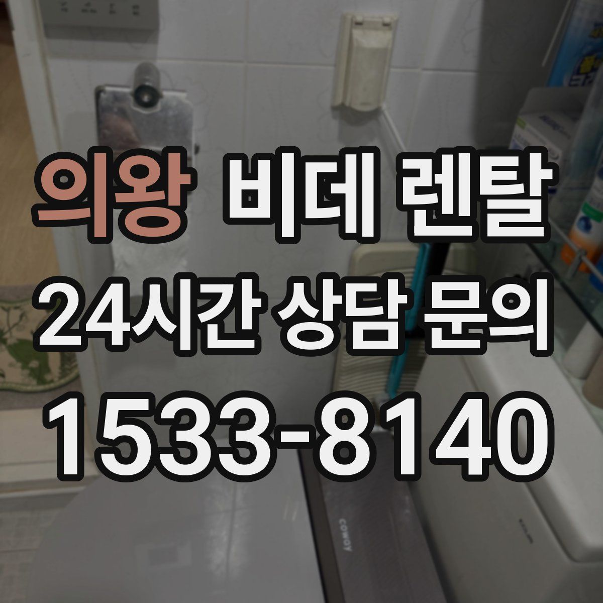 의왕 비데 렌탈
