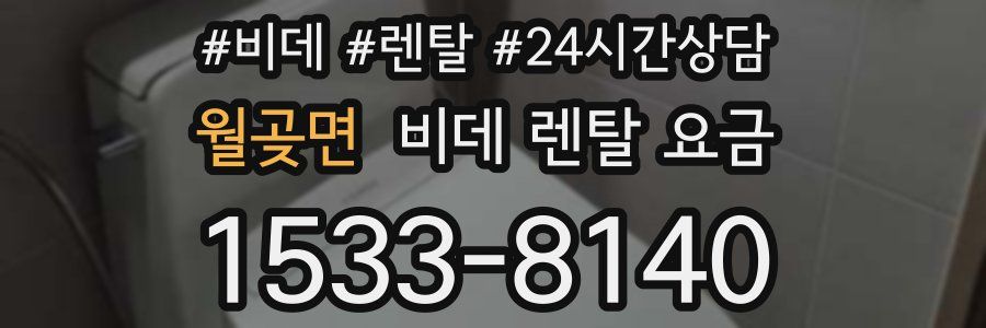 월곶면 비데 렌탈 요금