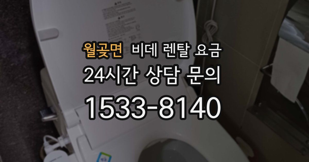 월곶면 비데 렌탈 요금
