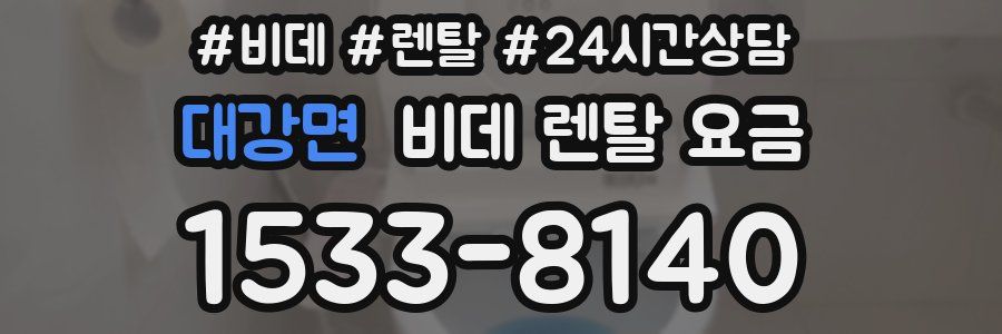 대강면 비데 렌탈 요금
