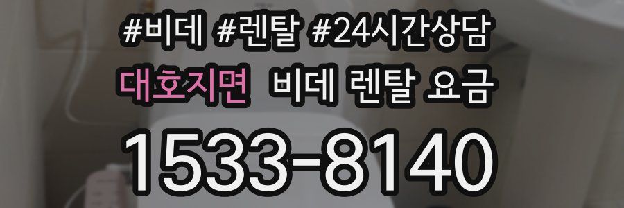 대호지면 비데 렌탈 요금