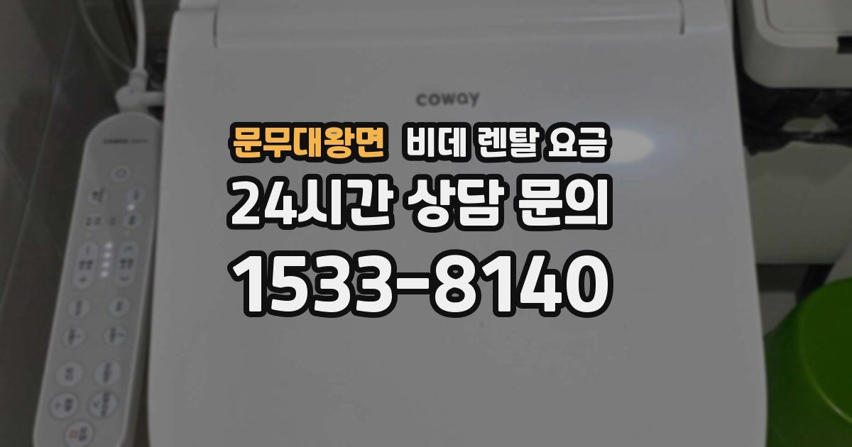 문무대왕면 비데 렌탈 요금