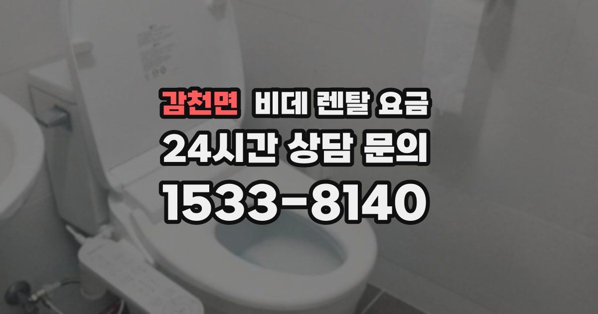 감천면 비데 렌탈 요금