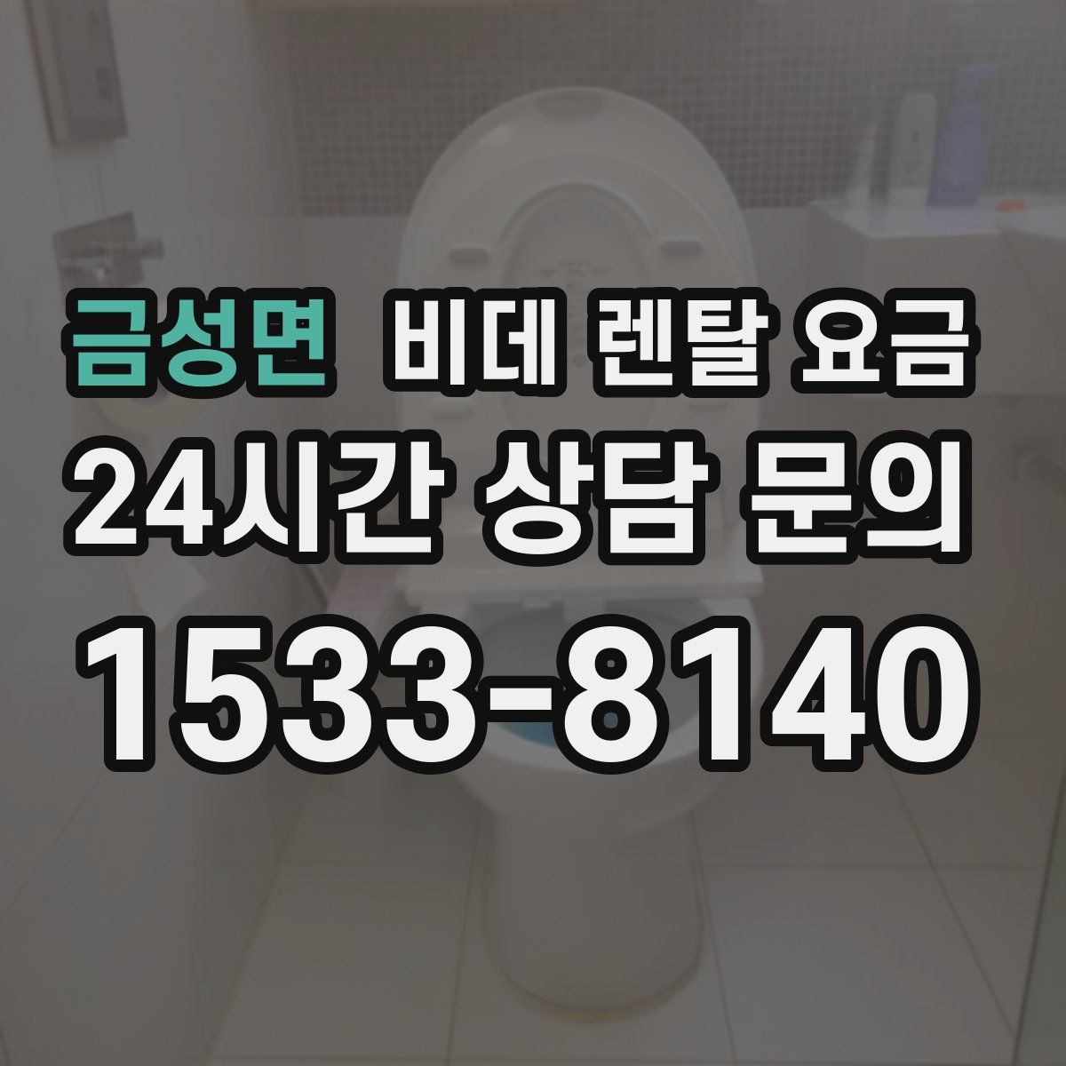 금성면 비데 렌탈 요금