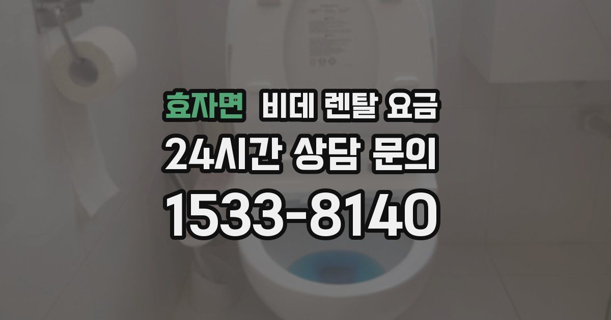 효자면 비데 렌탈 요금
