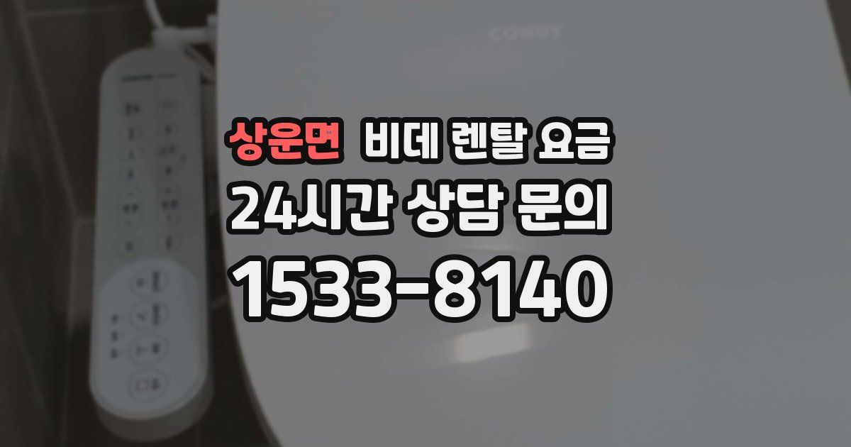 상운면 비데 렌탈 요금