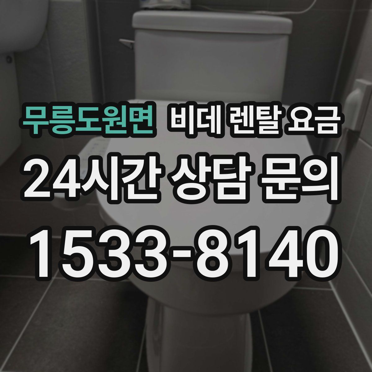 무릉도원면 비데 렌탈 요금
