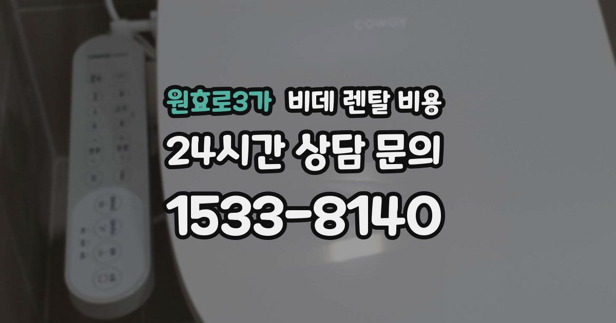 원효로3가 비데 렌탈 비용