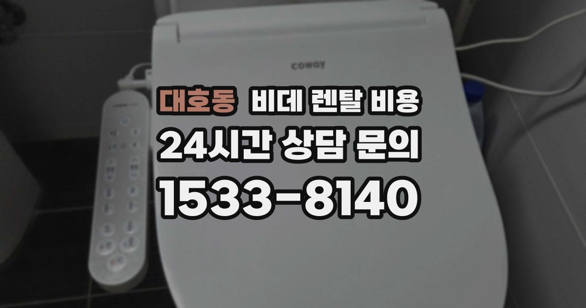 대호동 비데 렌탈 비용