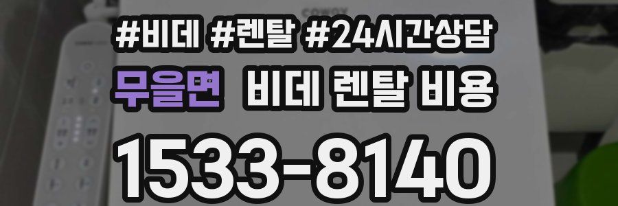 무을면 비데 렌탈 비용