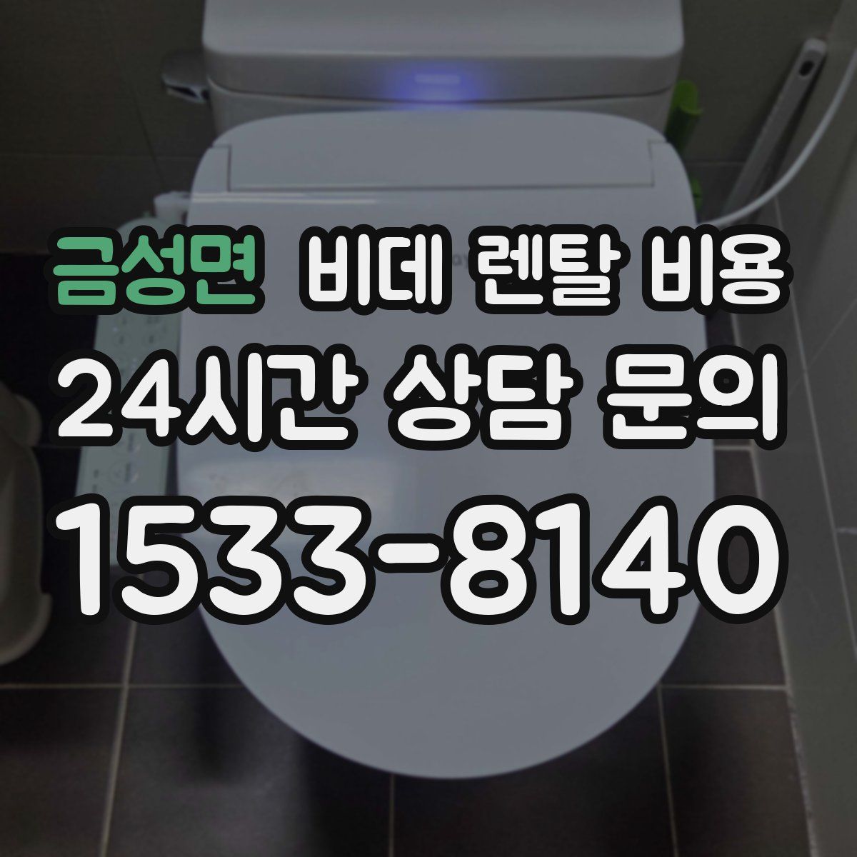 금성면 비데 렌탈 비용