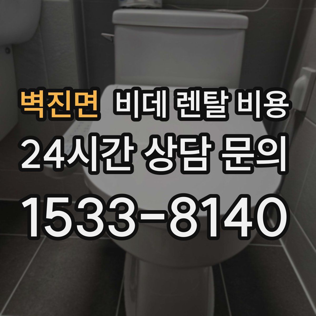 벽진면 비데 렌탈 비용