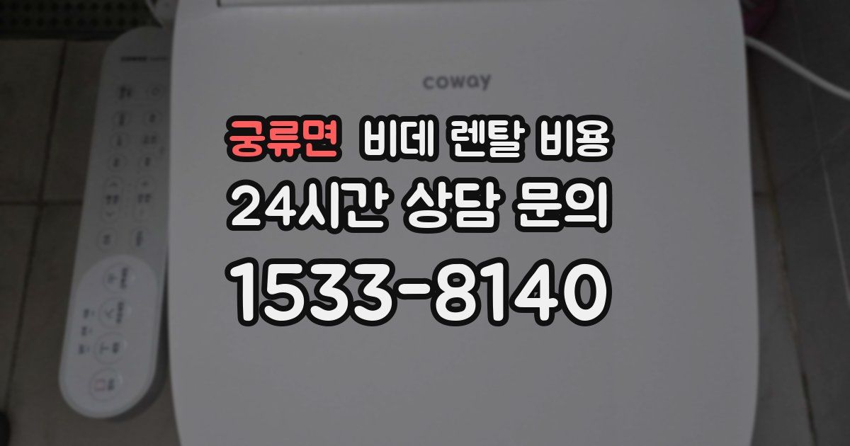 궁류면 비데 렌탈 비용