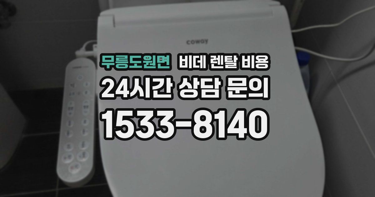 무릉도원면 비데 렌탈 비용