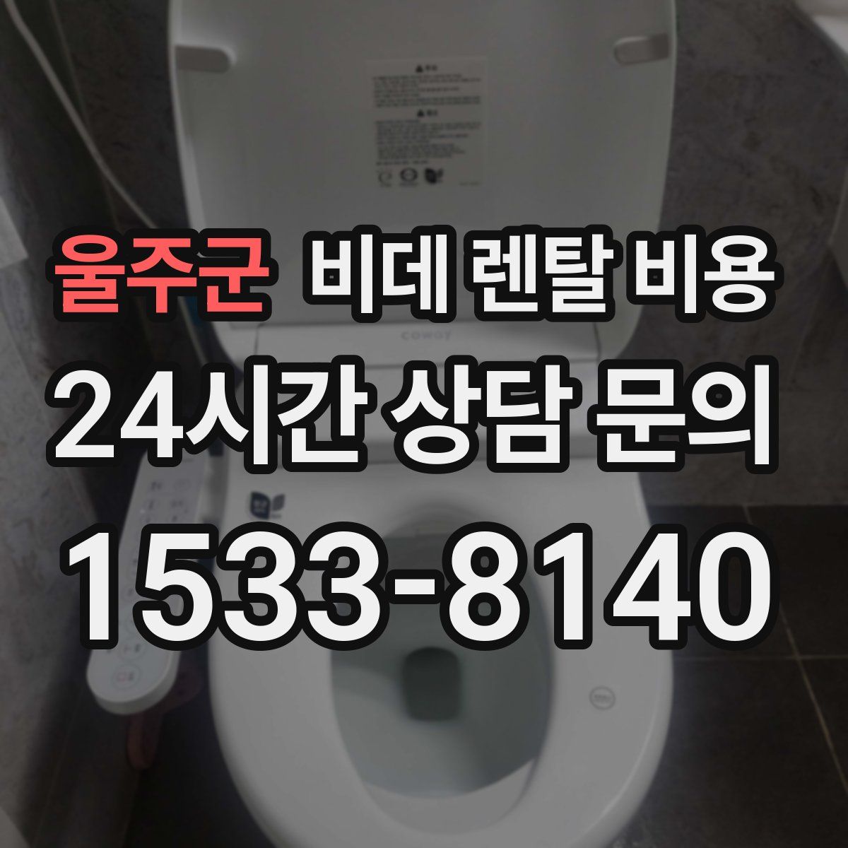 울주군 비데 렌탈 비용