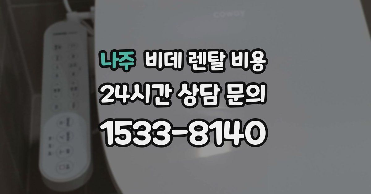 나주 비데 렌탈 비용