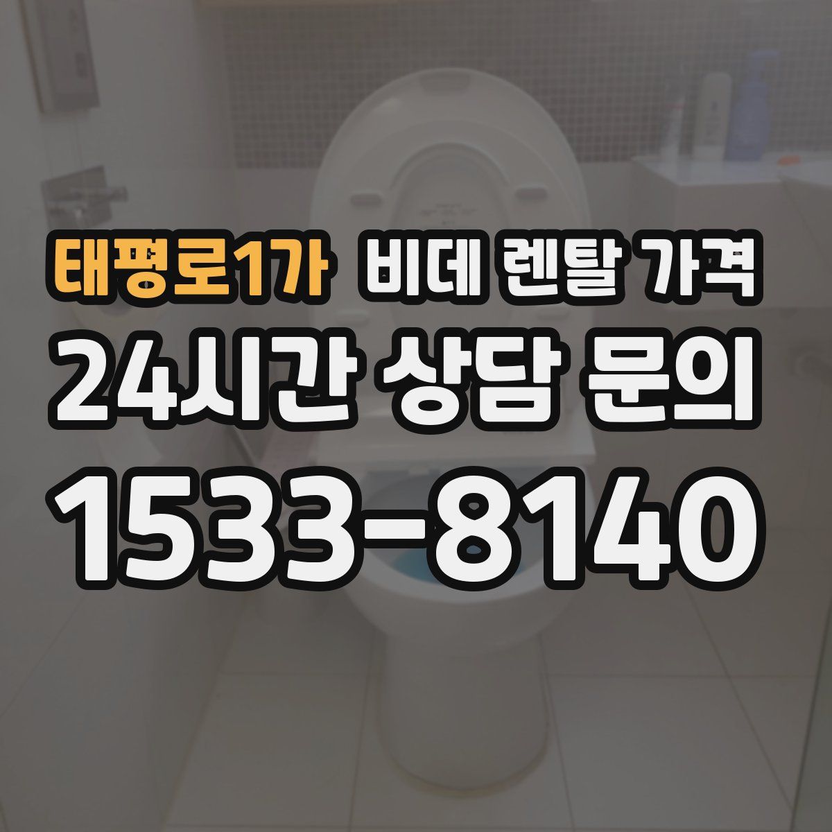 태평로1가 비데 렌탈 가격