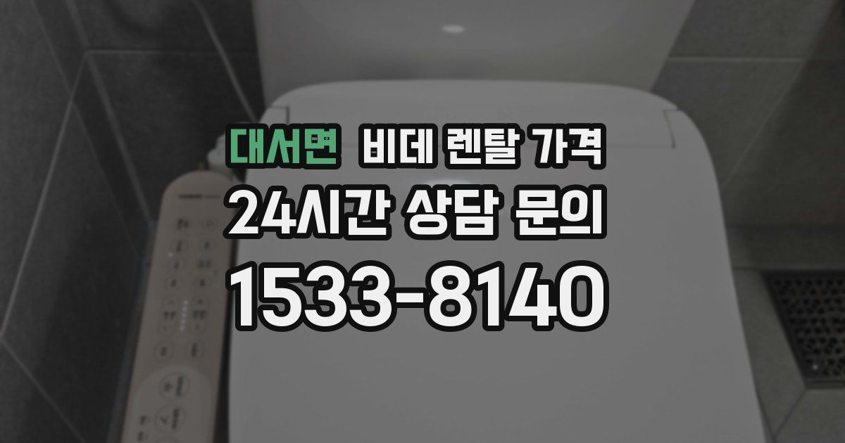 대서면 비데 렌탈 가격