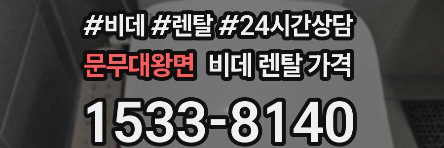 문무대왕면 비데 렌탈 가격